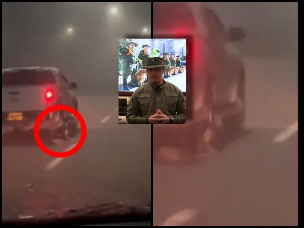 "No supe qué hacer": Conductor que arrastró al perrito 'Coronel' en vías de Antioquia se presentó a autoridades