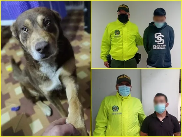 Rudy y Miguel fueron capturados en Pasto por atacar a Drako, el perro murió por heridas con arma cortopunzante
