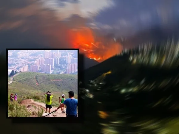 En Cali piden evitar subir a hacer deporte a los cerros afectados por los incendios y reportar animales heridos