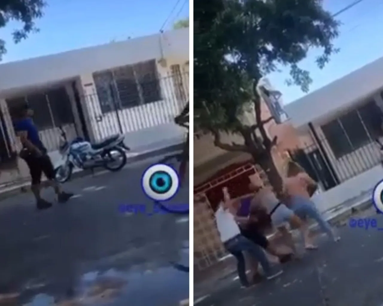 perro excremento en Santa Marta pelea
