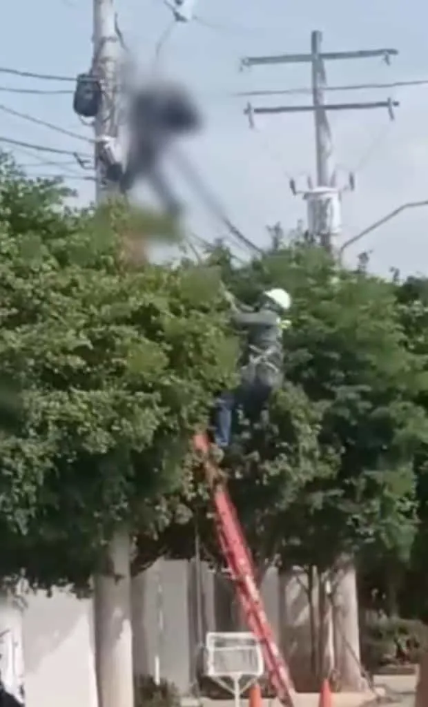 Un compañero tratando de salvarlo y la gente desesperada gritaba, operario murió electrocutado