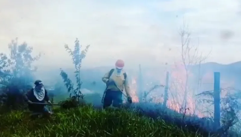 valle del cauca