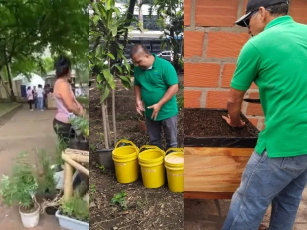 Ecobarrios reactivan su programación ambiental en 2026 con talleres gratuitos para la comunidad caleña