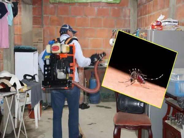 dengue en el valle