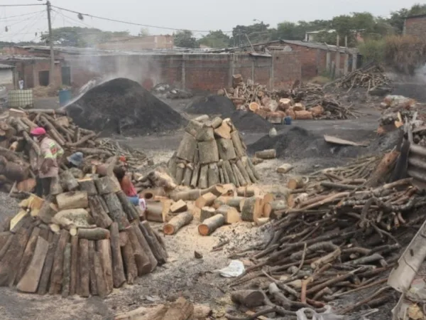 Judicializados presuntos responsables de la quema ilegal de madera en área de protección ambiental en Cali