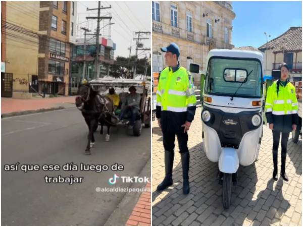 La jubilación de Gitano: un caballo de 20 años de edad, al que usaron para transportar reciclaje en Zipaquirá