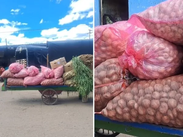 Alivio para el bolsillo: bajó el precio de la papa y cebolla larga en el marcado de Potrerillo en Pasto