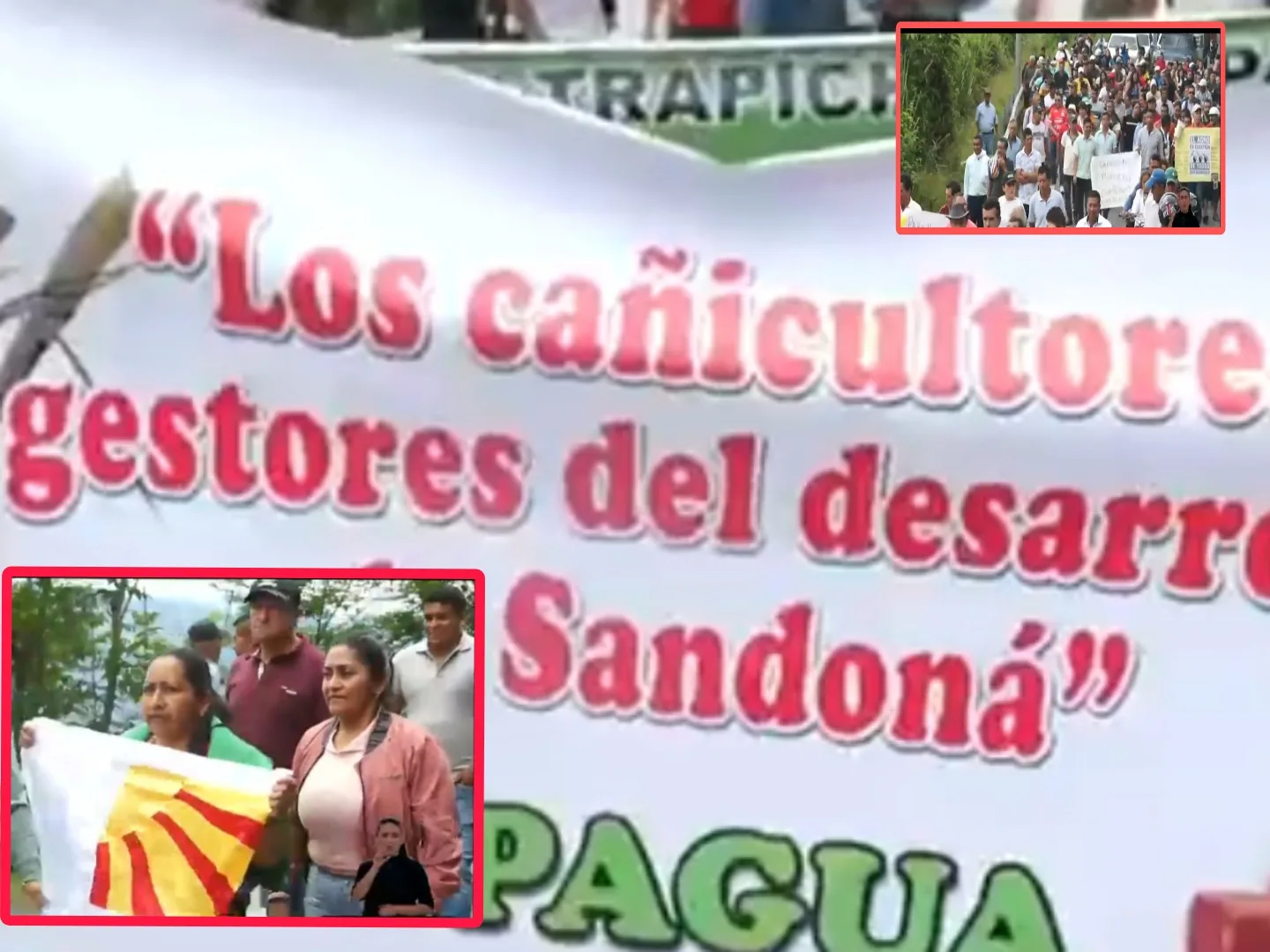 Sector panelero en Nariño