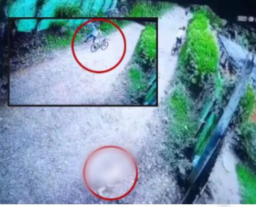 Ciclista perro Dagua