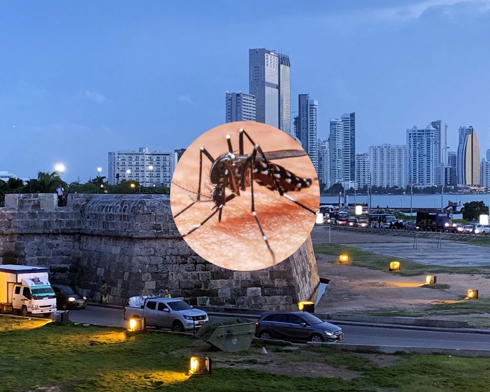 casos de dengue en Cartagena