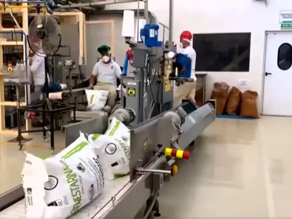 Yuca y Sacha Inchi, los nuevos componentes de la Bienestarina que le apuestan a reducir el hambre