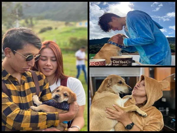 Semana fatal para los perros en Colombia: ahora envenenaron al de Egan Bernal