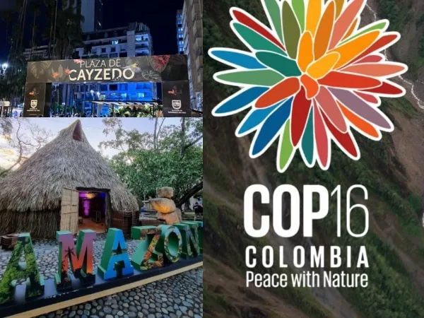 Jueves de COP16 y Mundial de Salsa: prográmate con las actividades gratuitas este jueves