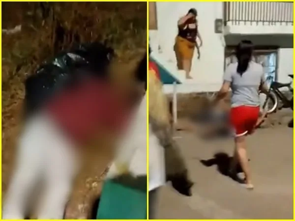 Las masacres que no dan ‘tregua’ en Cartago, Valle: fueron 4 los jóvenes que murieron anoche