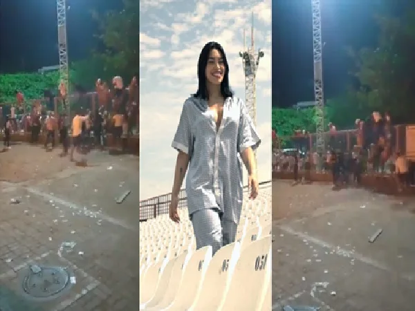 Ana del Castillo