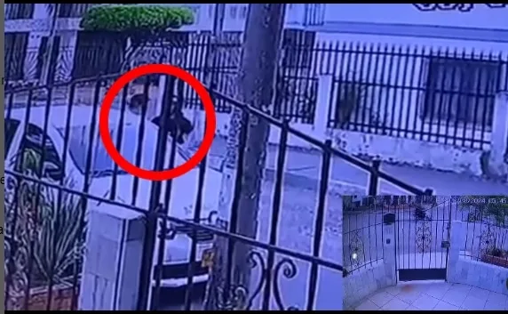 'Motoladrón' que arrebató cartera a una mujer en Los Andes, "sería el mismo con uniforme de medicina"