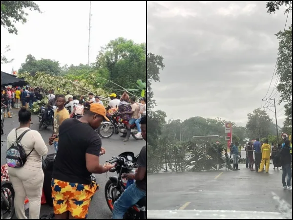 "Tumaco y Nariño no aguantan más bloqueos": Gobernador Jhon Rojas "por incumplimientos" y protestas