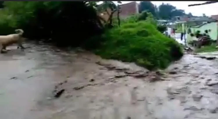 La Cruz río inundó