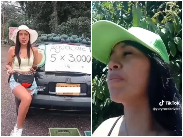 "Prefiero que se los lleven ustedes": Vendedora de aguacates regaló su surtido cuando la Policía llegó a quitarla del puesto en Tolima