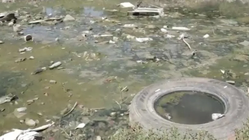 dengue en Cartagena