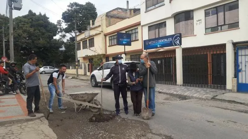 sembraron árboles en los huecos