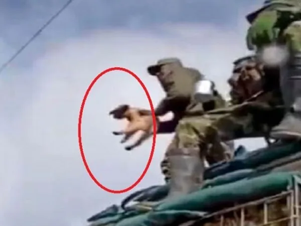 Entre 16 y 18 meses en prisión deberán pagar los exmilitares que lanzaron a Luna desde una garita en Puerres