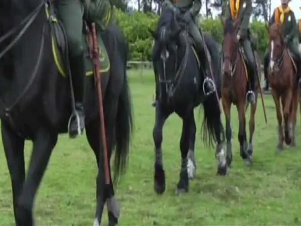 Otro escándalo en la Policía: al parecer por corrupción cinco carabineros fueron capturados en Nariño