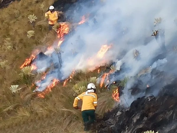 A esta hora voraz incendio amenaza con destruir paramo en zona rural de Cumbal