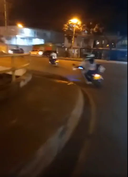 un perro