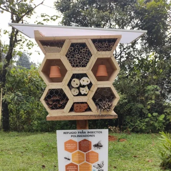 Refugios para abejas en el Valle del Cauca