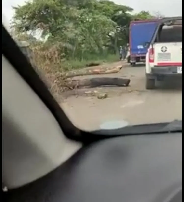 Jamundí minga indígena rompió un vidrio del carro