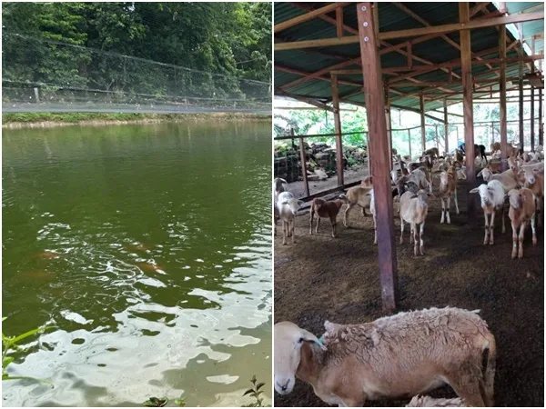 Destinan $1.000 millones en proyectos agrícolas para impulsar a excombatientes que apostaron por la paz
