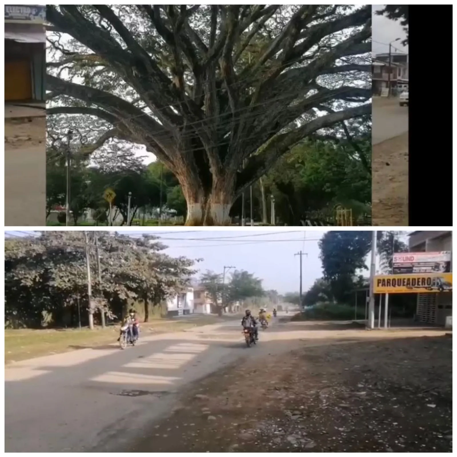 samanes Calle Quinta Santander de Quilichao