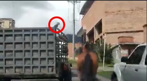 de un caballo
