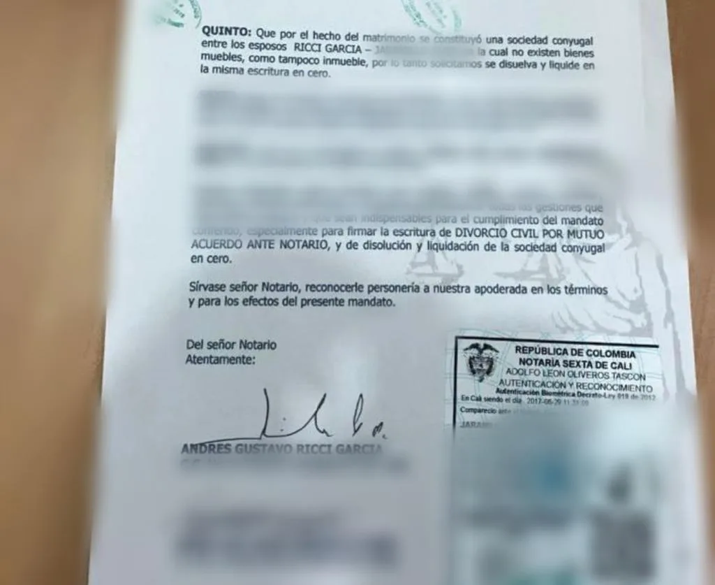 divorcio Andrés Gustavo Ricci violencia con su exesposa caso Luz Mery Tristá