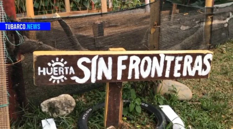 Fútbol y huertas: de esta forma han borrado fronteras en Bonilla Aragón, Cali