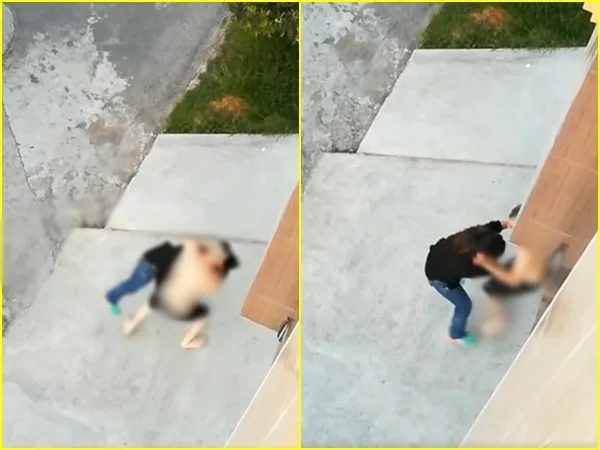 El caso de maltrato que indigna a Pasto: mujer fue brutalmente golpeada en el sector de Mijitayo