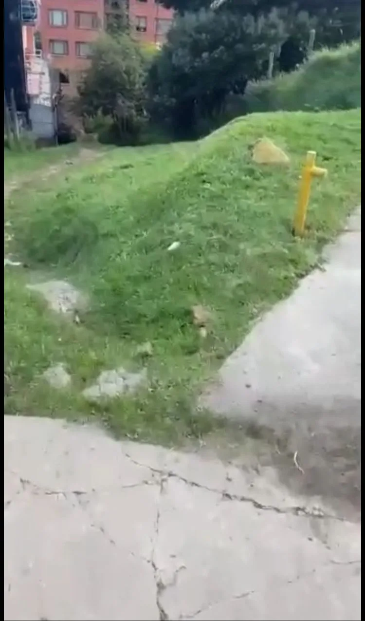 bajó el carro por un callejón