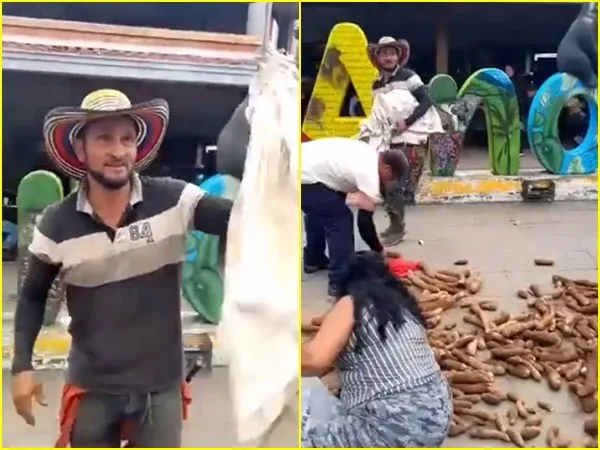Angustia de campesino: tuvo que regalar su cosecha de yuca, no se la compraron y temía que ‘se pierda’