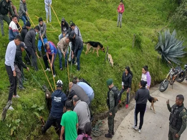 El emotivo rescate de un caballo que cayó en una cámara de desagüe en Nariño
