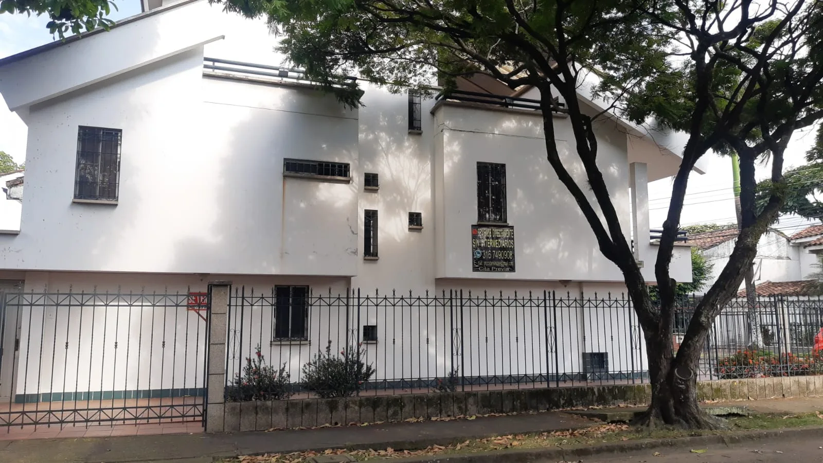 de los árboles