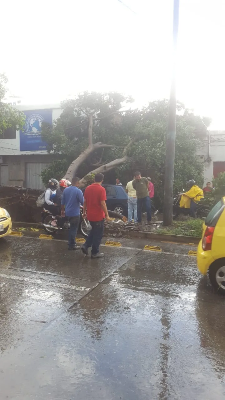 lluvias en cali