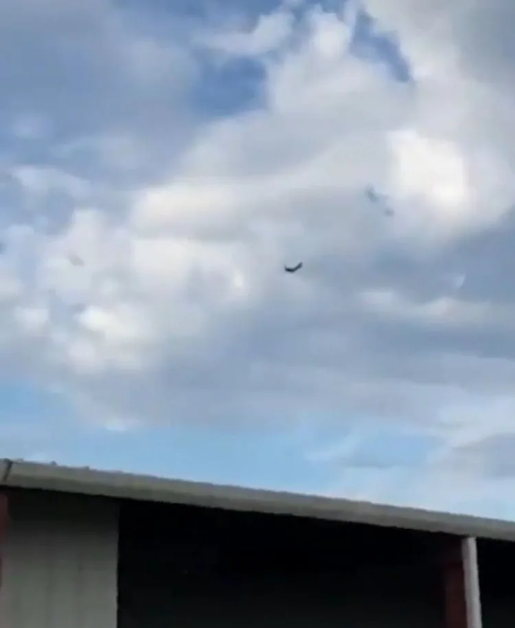 avioneta Tupelo Mississippi