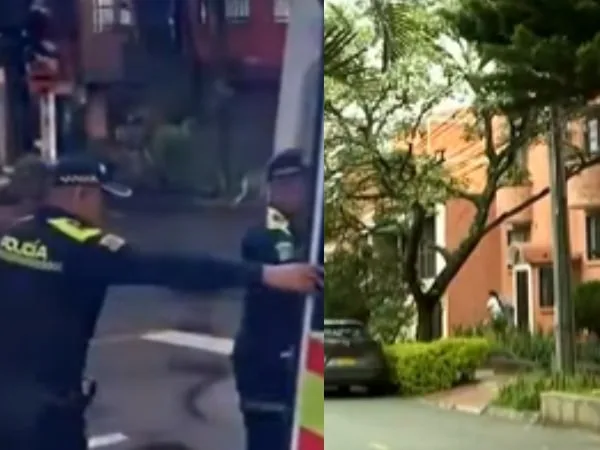 Turista mexicano hallado sin vida en Medellín; habría coordinado un encuentro a través de una aplicación de citas