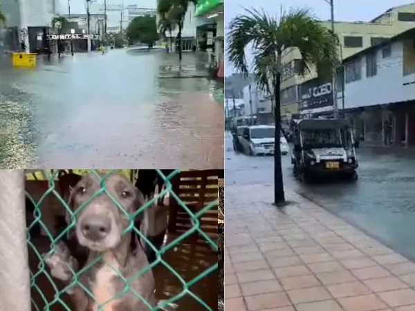 "Refugios de animales, calles, casas, y hospitales inundados" Preocupan las fuertes lluvias en San Andrés Islas