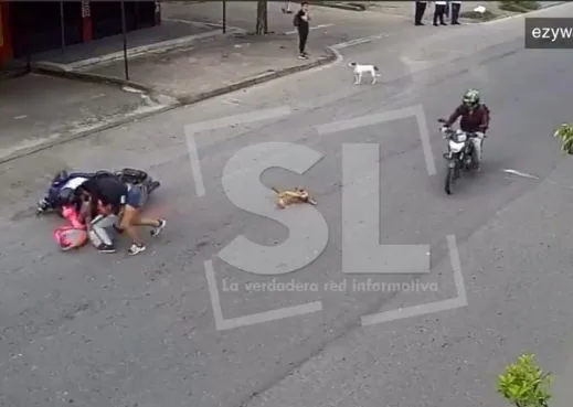 perro moto Villavicencio