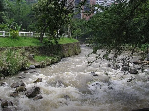 La Procuraduría advirtió que ocho minas se encuentran en operación, impactando en la cuenca del río Cali, la cual tiene incidencia en 9 afluentes.