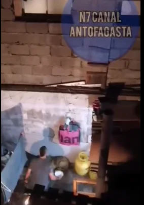 colombiano en chile