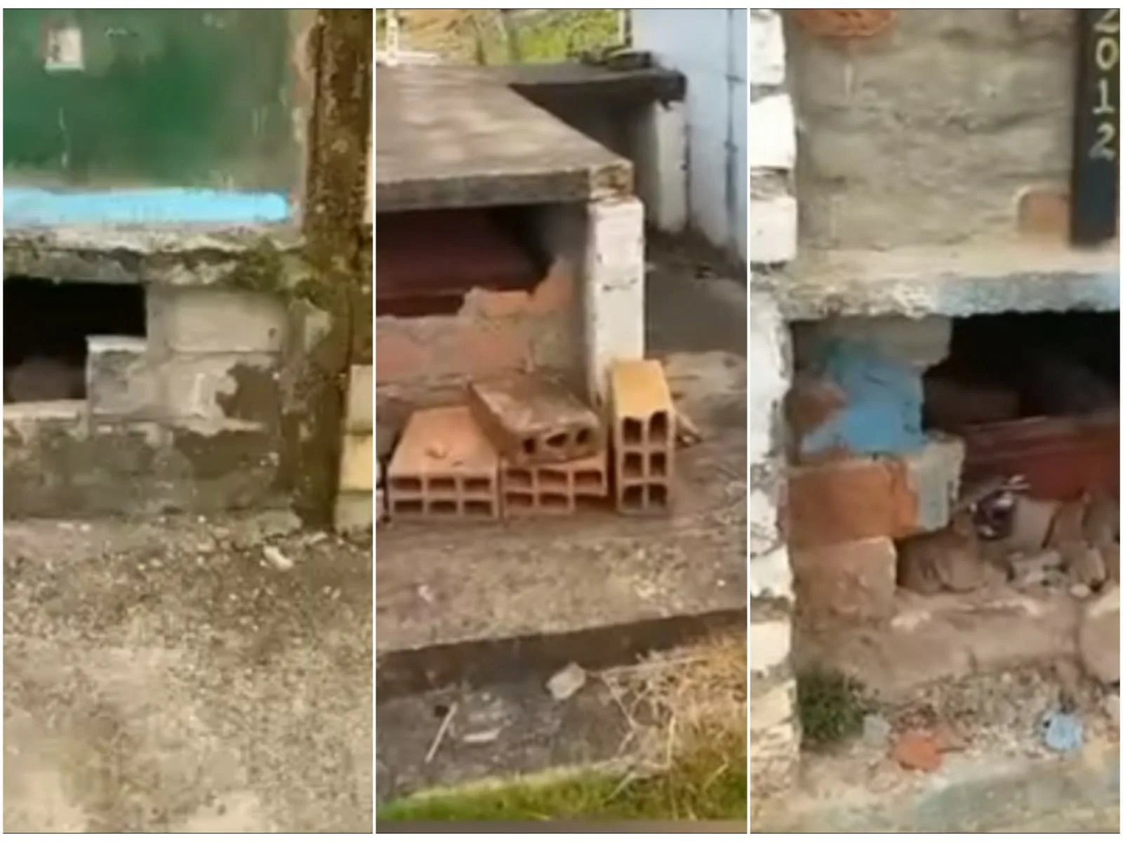 En cementerio de Dagua estarían destapando las bóvedas "para hacer maldades y brujería"