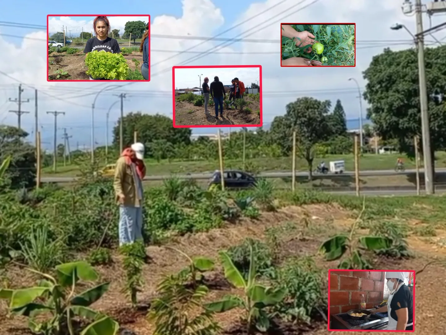 Huerta